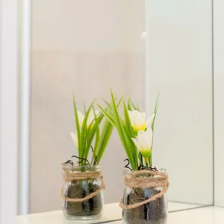 Apartment Anic *